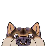 RashiShibe from patreon