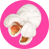 pinkpatreon from patreon