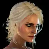 witcherres from fanbox