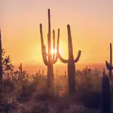 The Naked Desert from patreon
