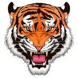 Tiger2002 from patreon