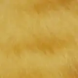 tanakatan from fanbox
