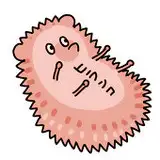 木野花（ひらんこ） from fanbox
