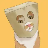 Shihoroma from fanbox