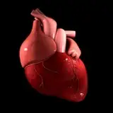 cardiophiliafiles from patreon