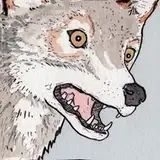 falseknees from patreon