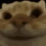 cheems bleems from patreon