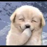 osvaldogreco from fanbox