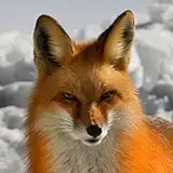 Bystroushaak from patreon