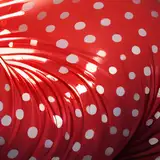 PolkaDot from patreon
