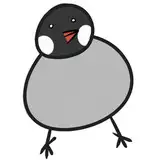 闇文鳥 from fanbox