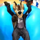 Ayce Coyote from patreon