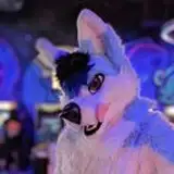 Cloud Husky from gumroad