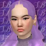 simmerblox from patreon