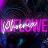 wildflowerphoenix from patreon