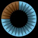 3blue1brown from patreon