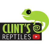 Clint's Reptiles from patreon