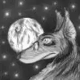 Coyotek from patreon
