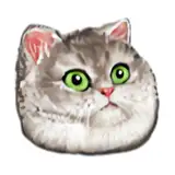 yoooi from patreon