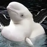 AFatFlyingWhale from patreon