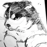 Fangdangler from gumroad