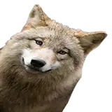wooferSFM from patreon