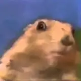 punishedvarmint from patreon