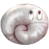 搾り課す from fanbox