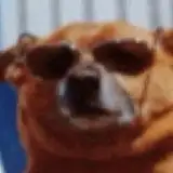 FacelessTrigger from patreon