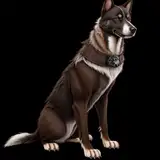 SeizureDogs from patreon