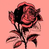 yukonasmr from patreon