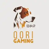 Qori Gaming from patreon