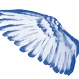 Bluewingwriting from patreon