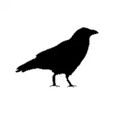 randomcrow from patreon
